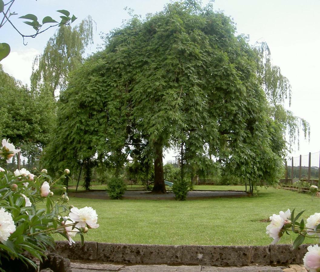 Апартаменты Les Jardins De L'Ile Longeville-les-Metz Экстерьер фото